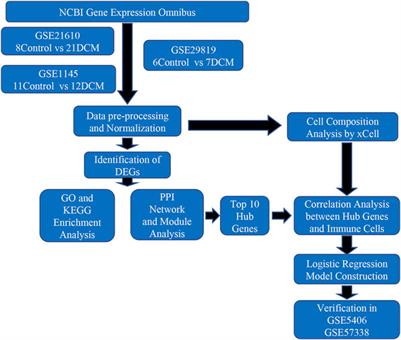 Identification and Verification of Feature Biomarkers Associated With Immune Cells in Dilated Cardiomyopathy by Bioinformatics Analysis